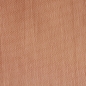 Preview: Taffeta Opaline - 140 cm - in apricot