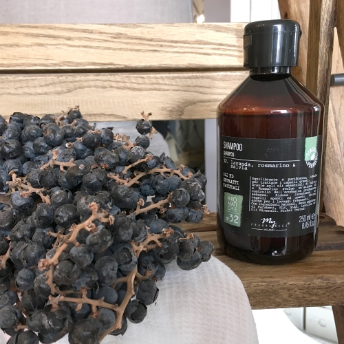 02. Lavendel, Rosmarin & Salbei - Balance-Shampoo - 250 ml